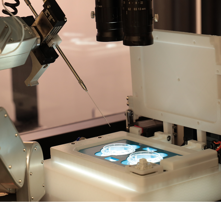 fecundacion-in-vitro-por-que-hope