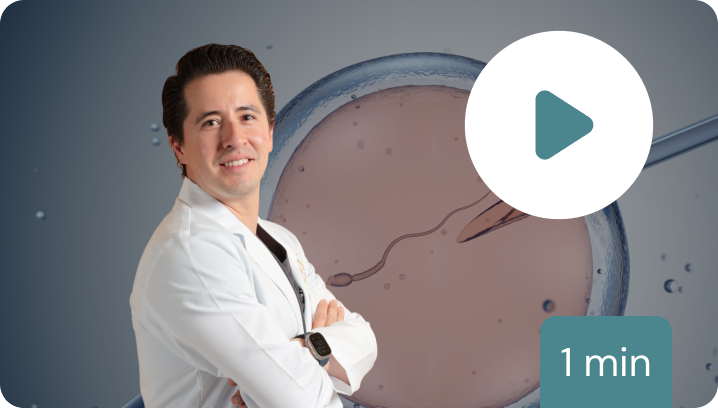 1-fecundacion-in-vitro